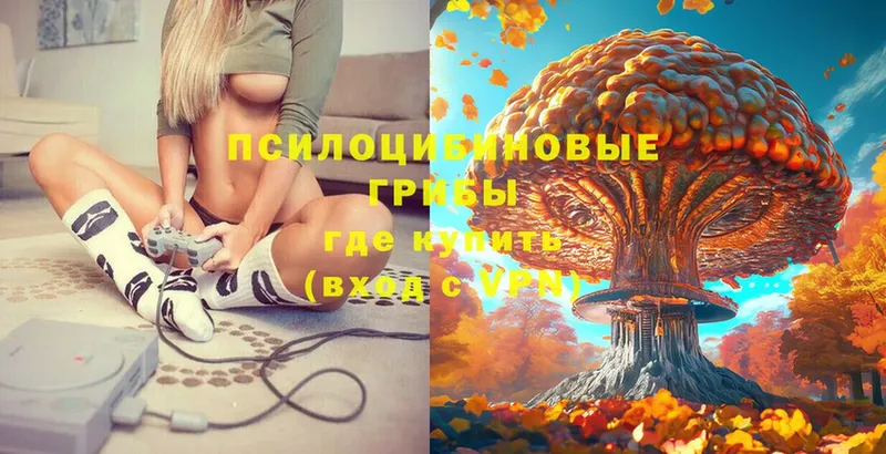 Псилоцибиновые грибы ЛСД  Кубинка 